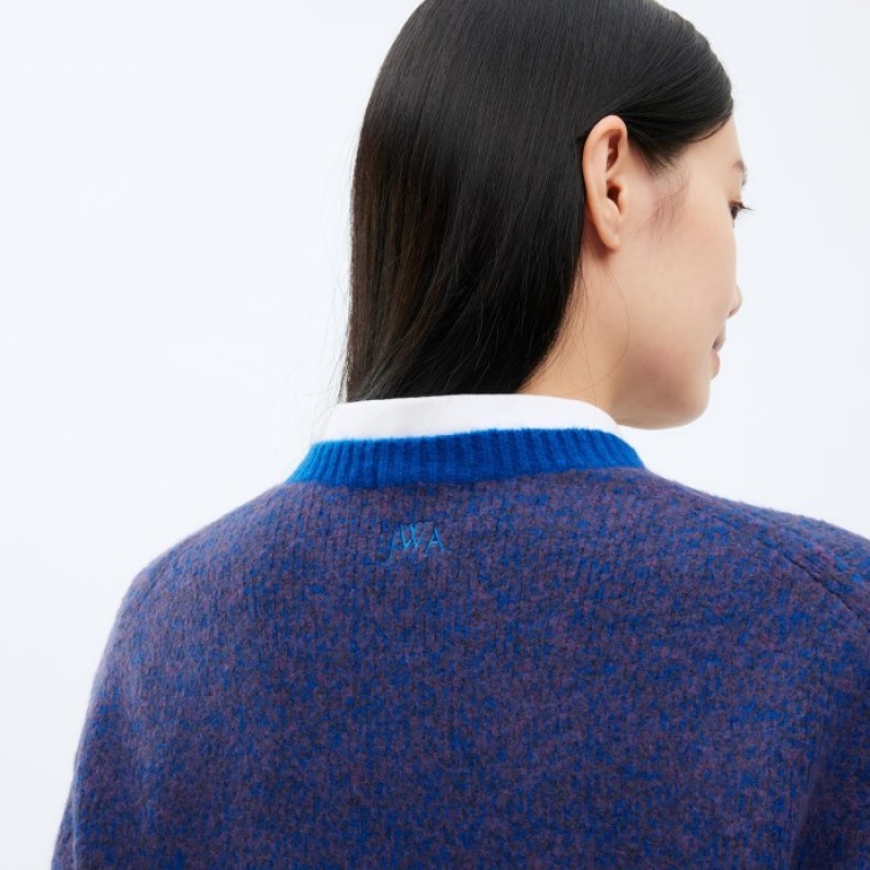 Uniqlo Souffle Yarn Crew Neck Long-Sleeve Truien Dames Blauw | 5595846