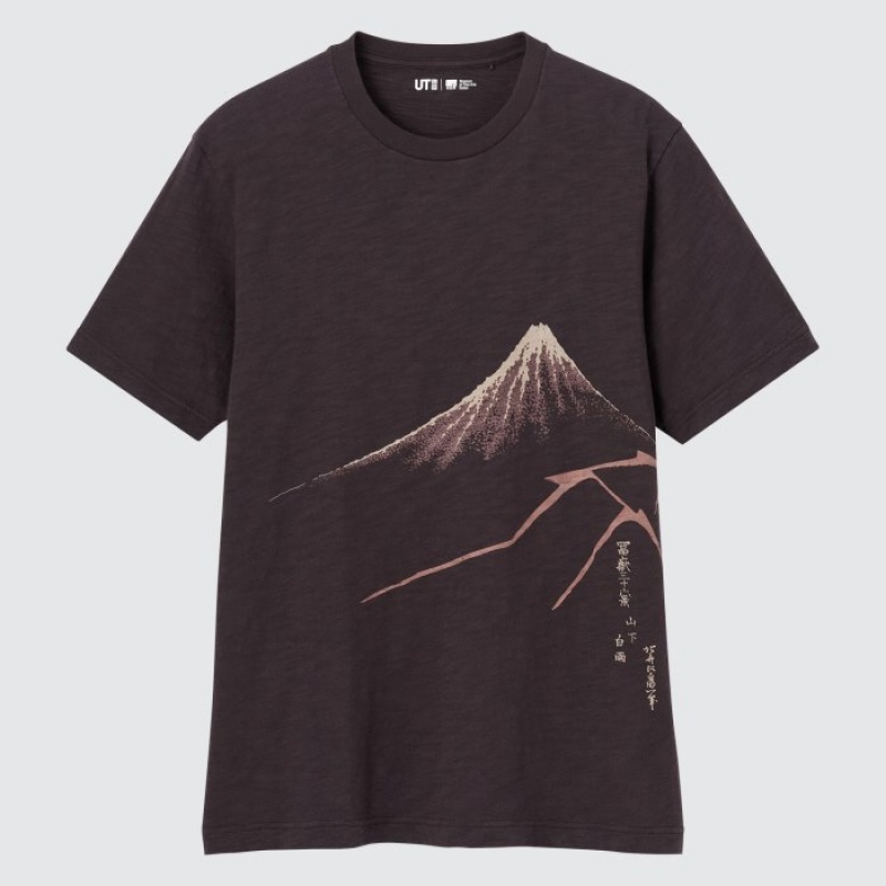 Uniqlo Ukiyo-e UT Short-Sleeve T-shirts Dames Bruin | 3551427
