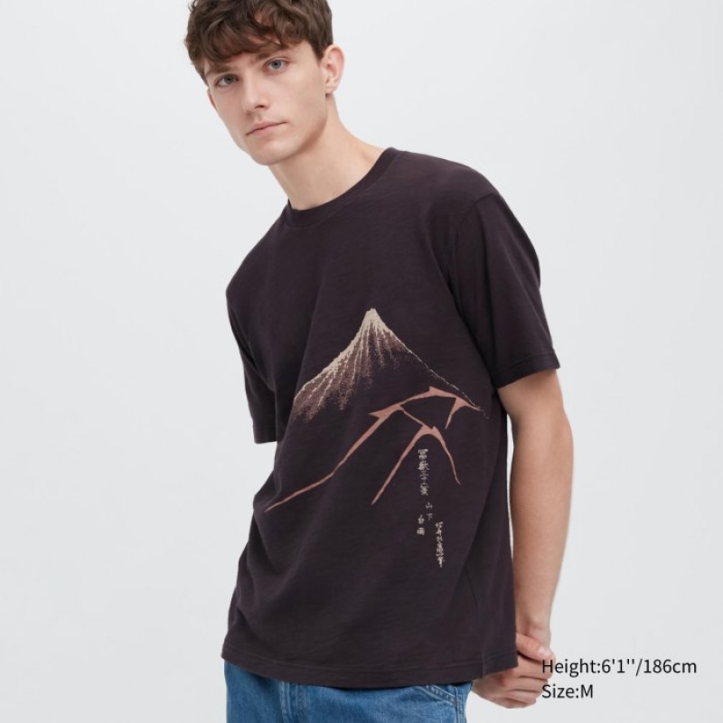 Uniqlo Ukiyo-e UT Short-Sleeve T-shirts Dames Bruin | 3551427